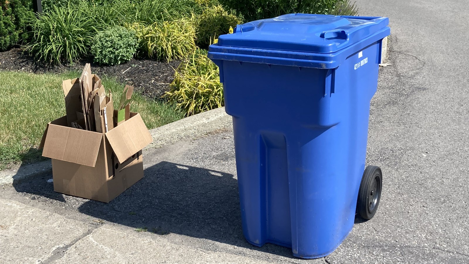 Une collecte de carton supplémentaire proposé en juillet