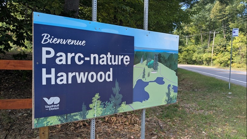 Un bioblitz pour découvrir la biodiversité au parc-nature Harwood 