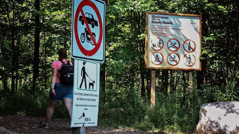 Un plan de conservation en élaboration pour Sandy Beach à Hudson 