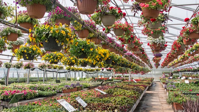Une deuxième édition de Culture botanique à la Jardinerie Chez Ben