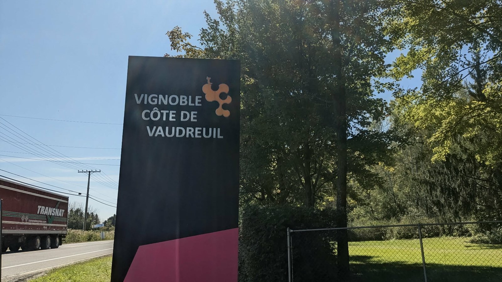 Vignoblr.jpeg