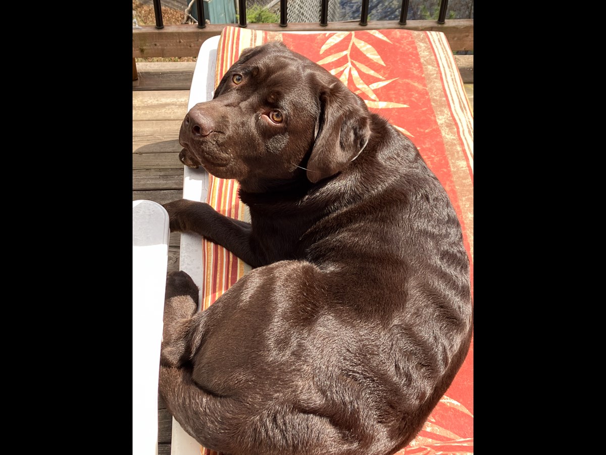 Daisy en vacances