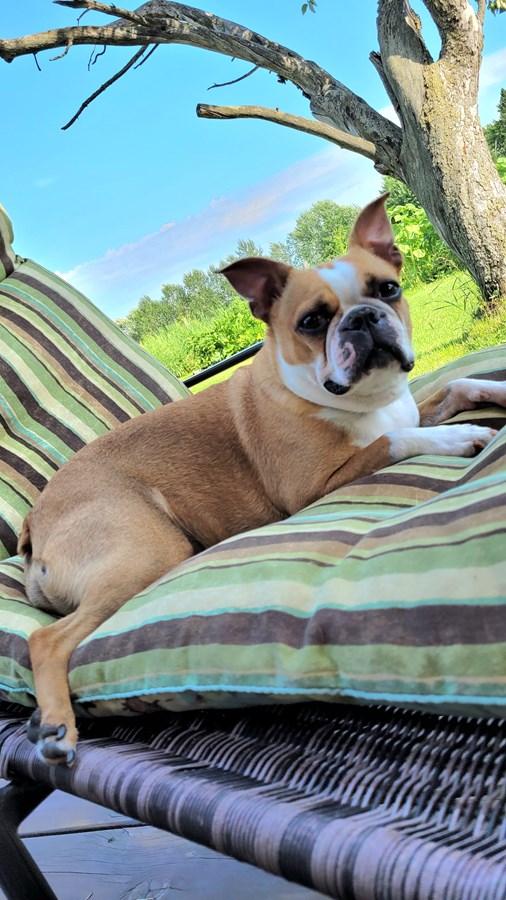 Chillaxing