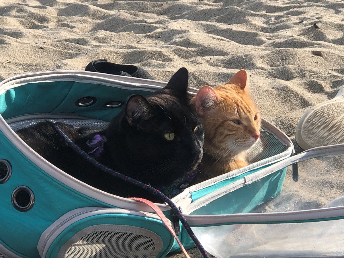 Journée à la plage