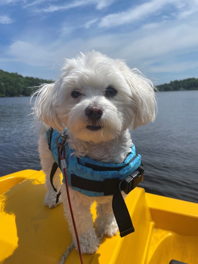 Milo