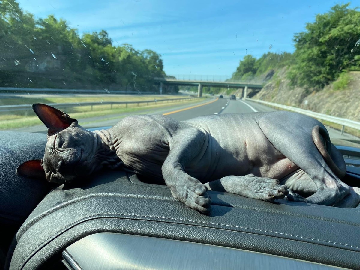 Sur la route des vacances