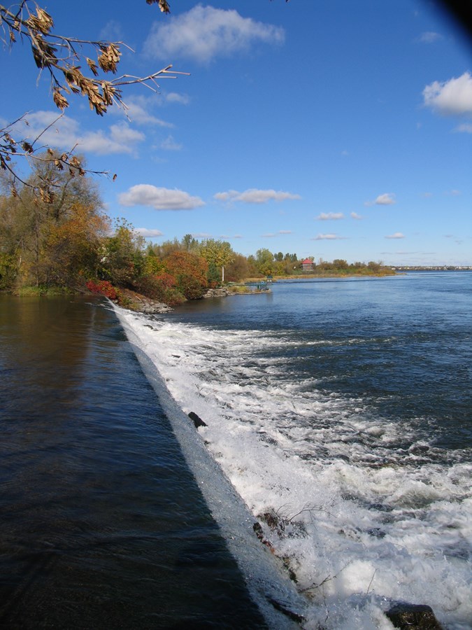 Chute