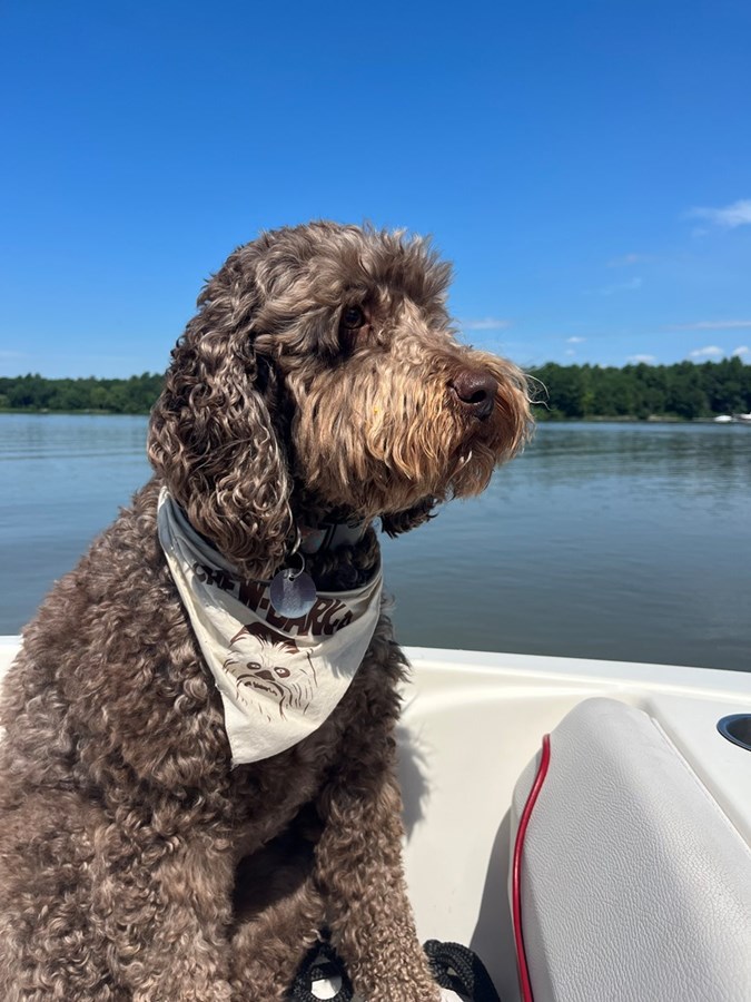 Benson