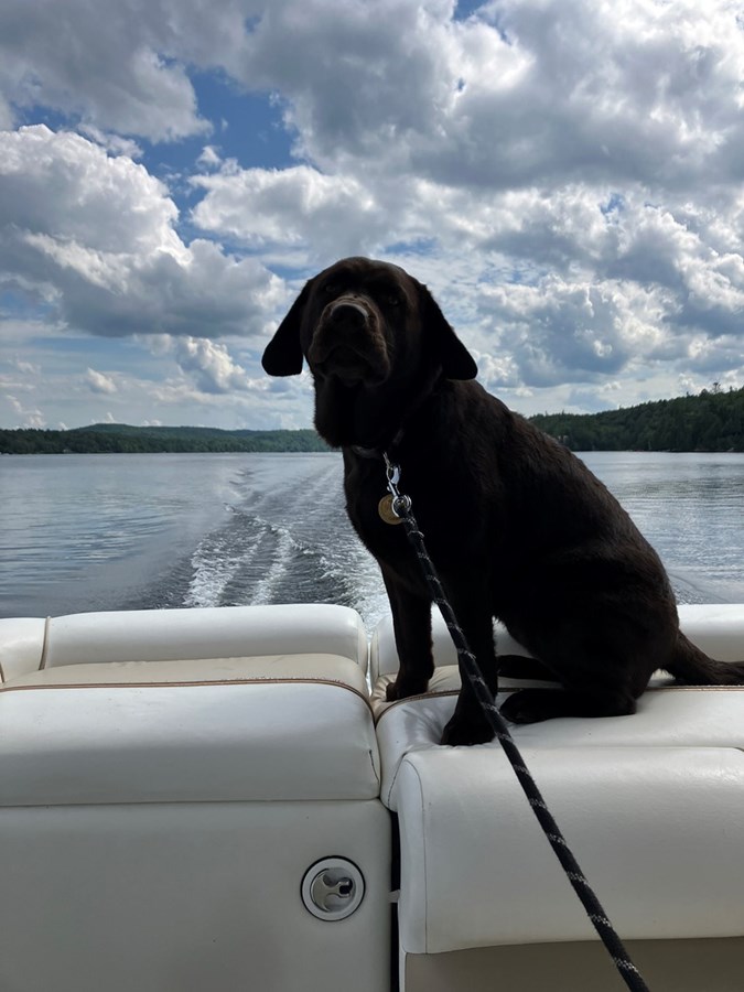 Daisy en vacances