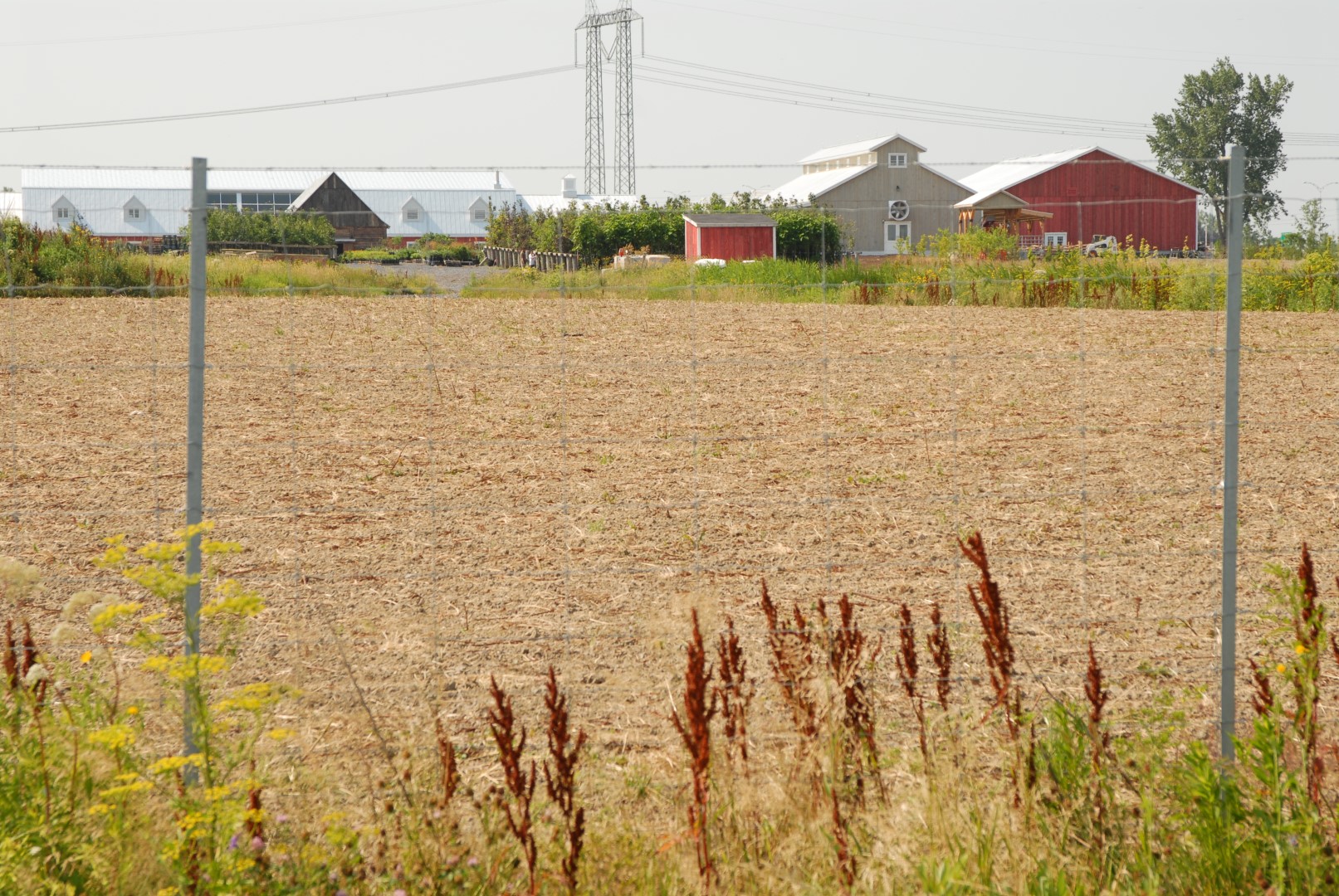 Des jardins communautaires à Chambly en 2012