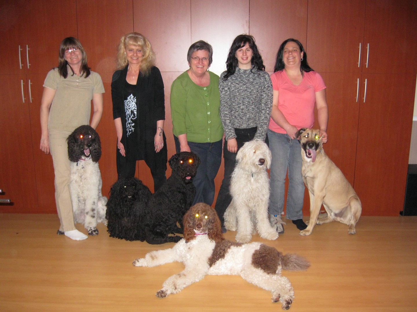 Avis aux propriétaires de chiens chamblyens