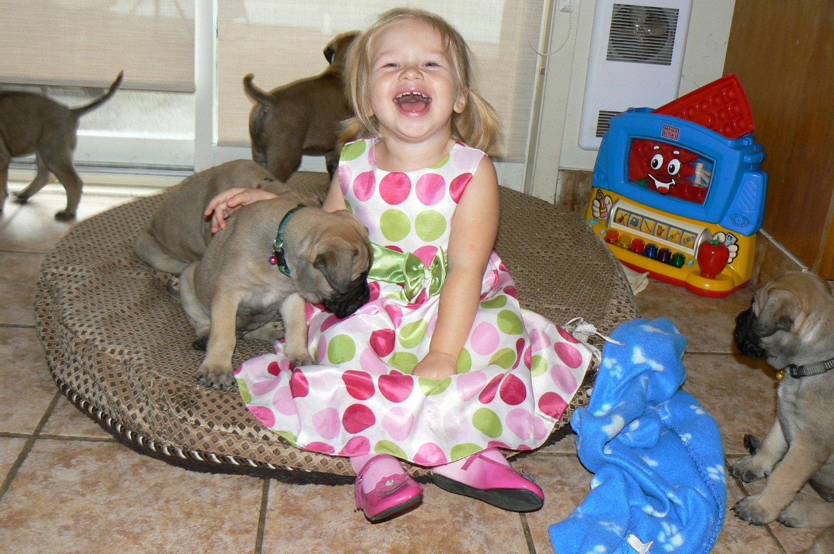 Emma Rose Jodoin, 2 ans, Chambly