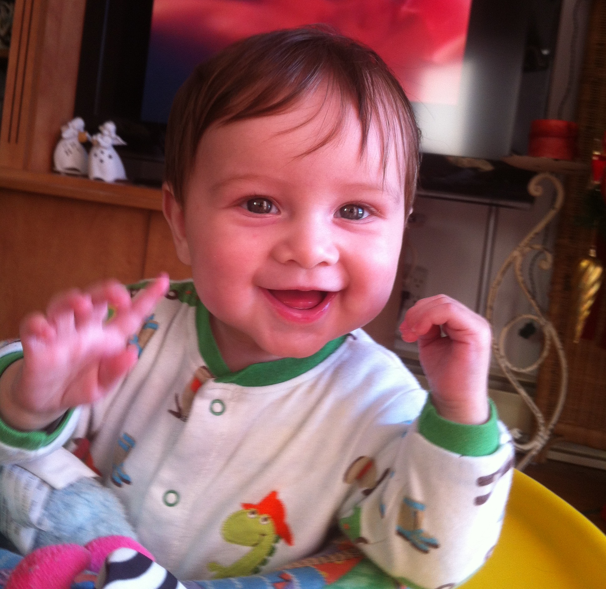 Ethan Brunet, 5 mois, Marieville