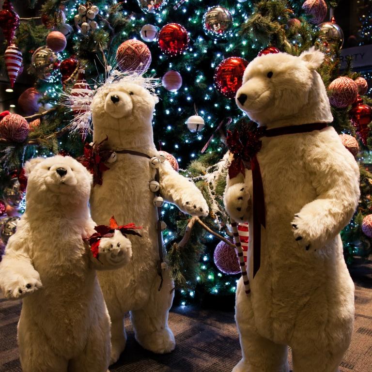 « Un Noël chez les Ours blanc à Montréal », par Denis Provencher, Chambly