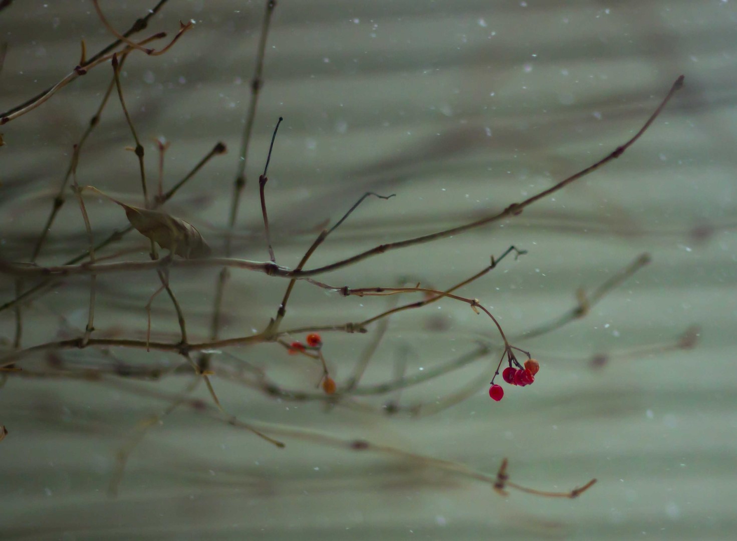 « Tempête hivernale », par Lucie Rivard, Chambly