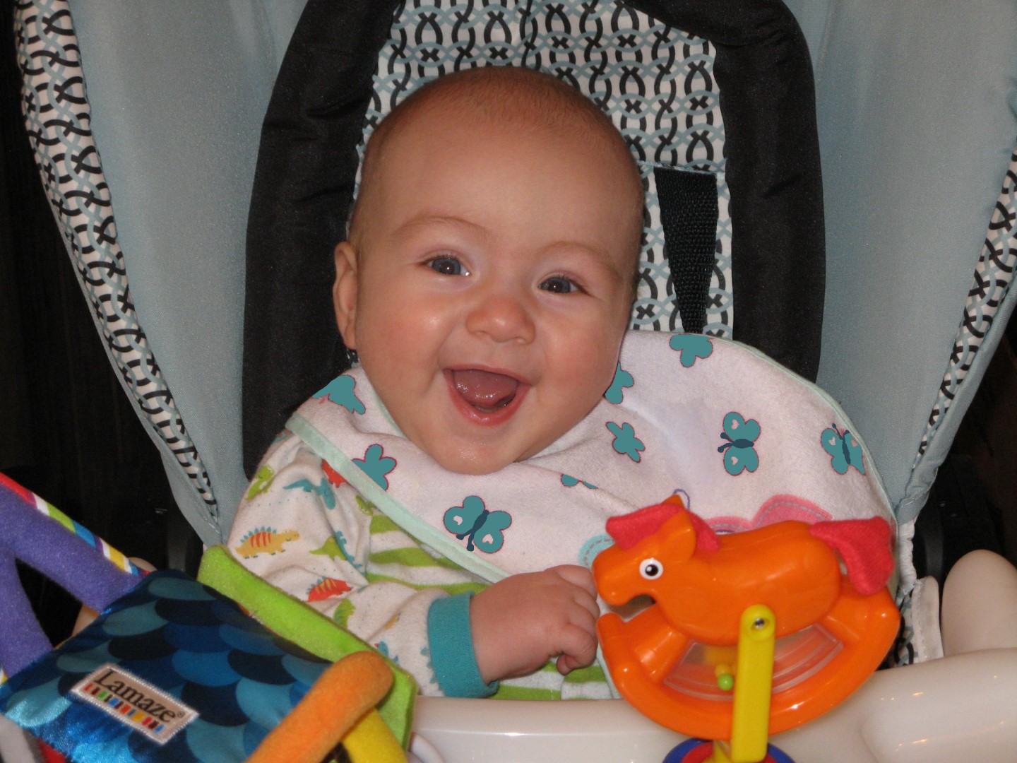 Antoine Hallé, 7 mois, Chambly
