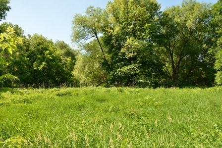 Envie de siéger au sein du comité consultatif en environnement ?