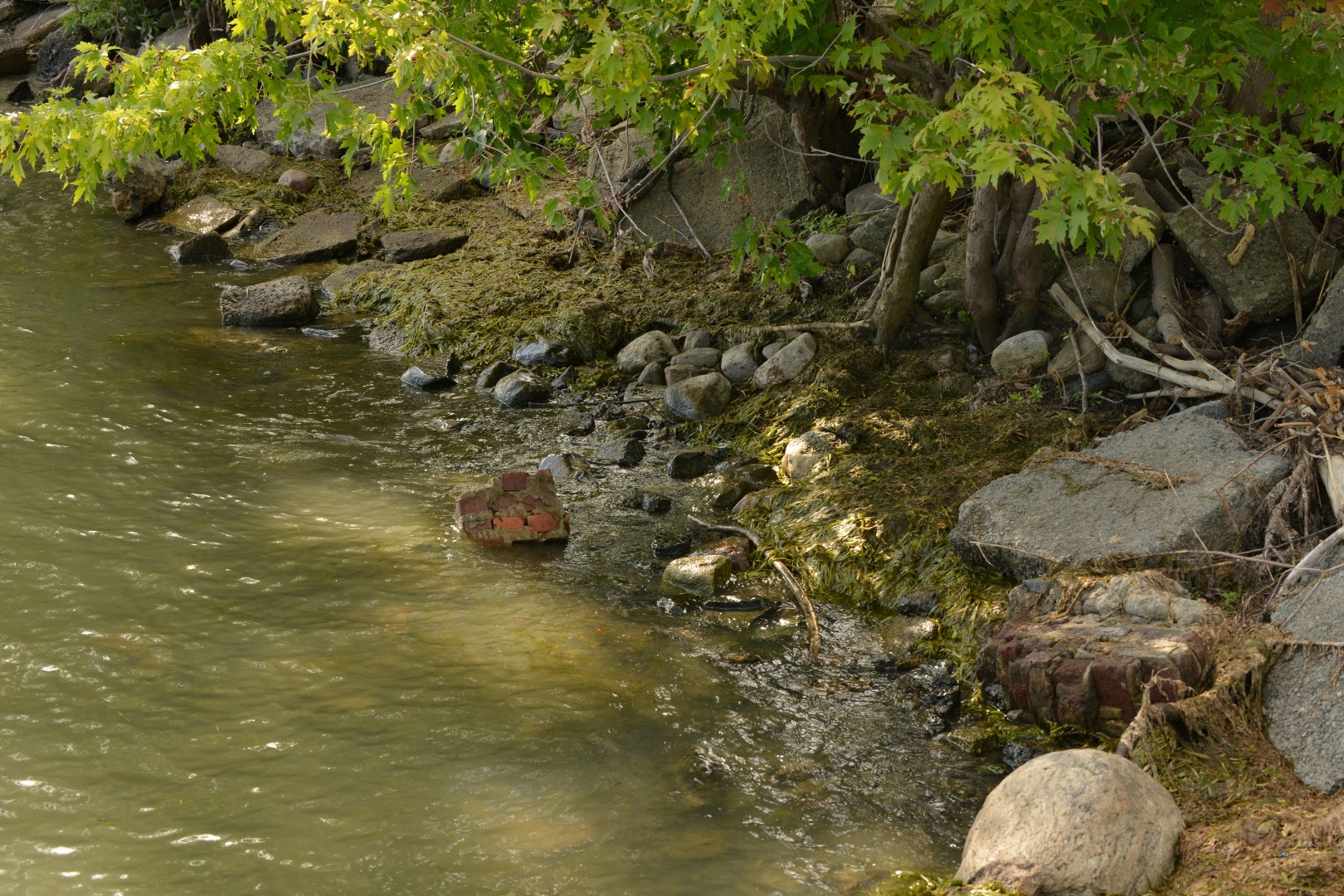 La rivière Richelieu a meilleure mine