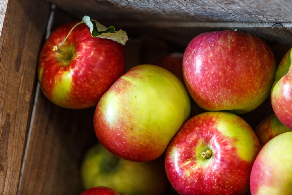 Nouvelle carte interactive: une escapade aux pommes!