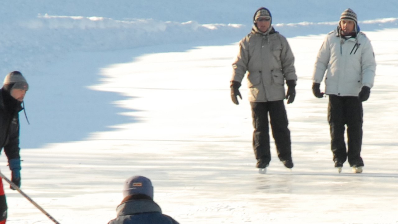 Tours de calèche et patinage libre ce dimanche à Chambly