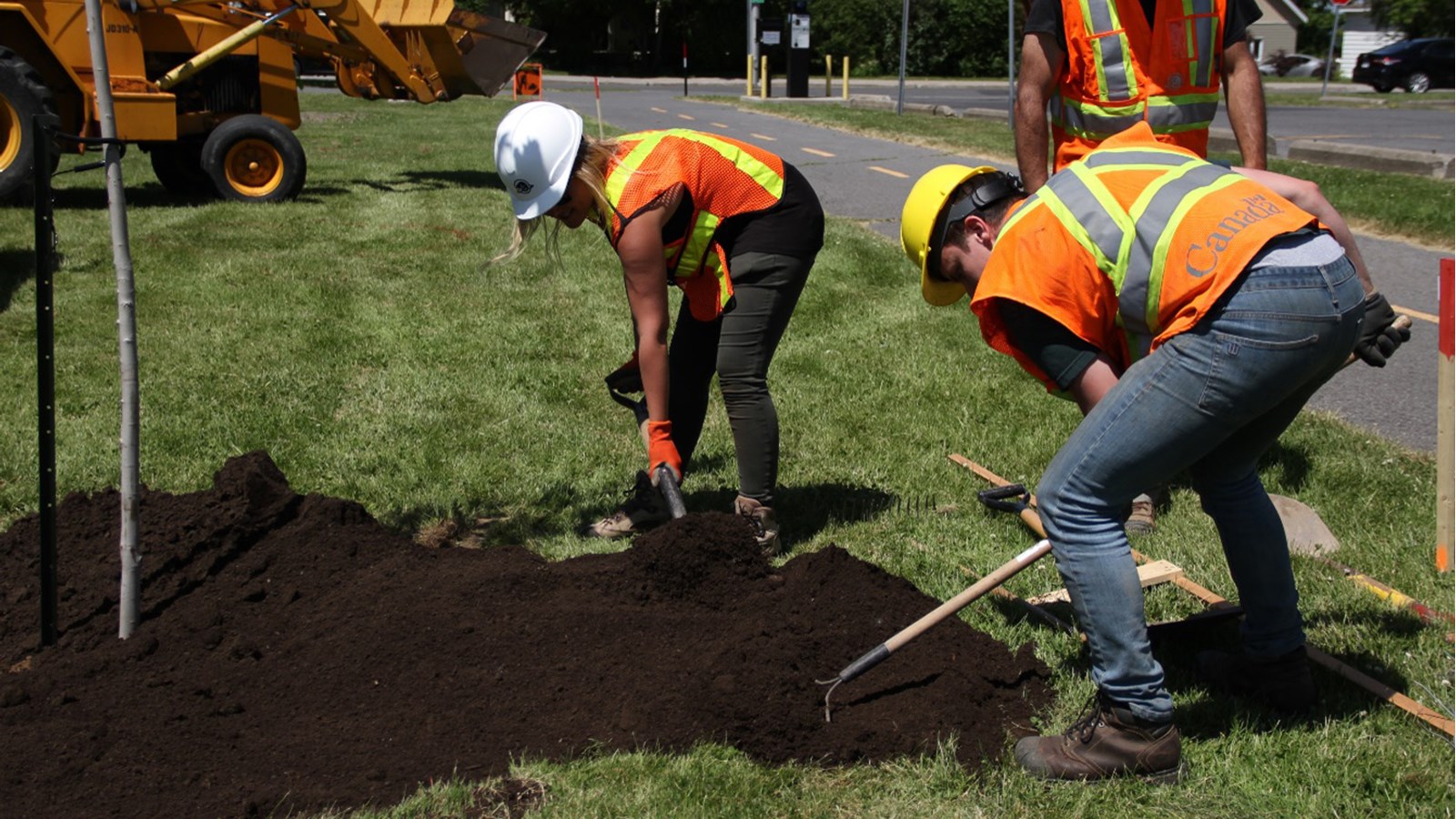 Parcs Canada plante des arbres dans le Vieux-Chambly 
