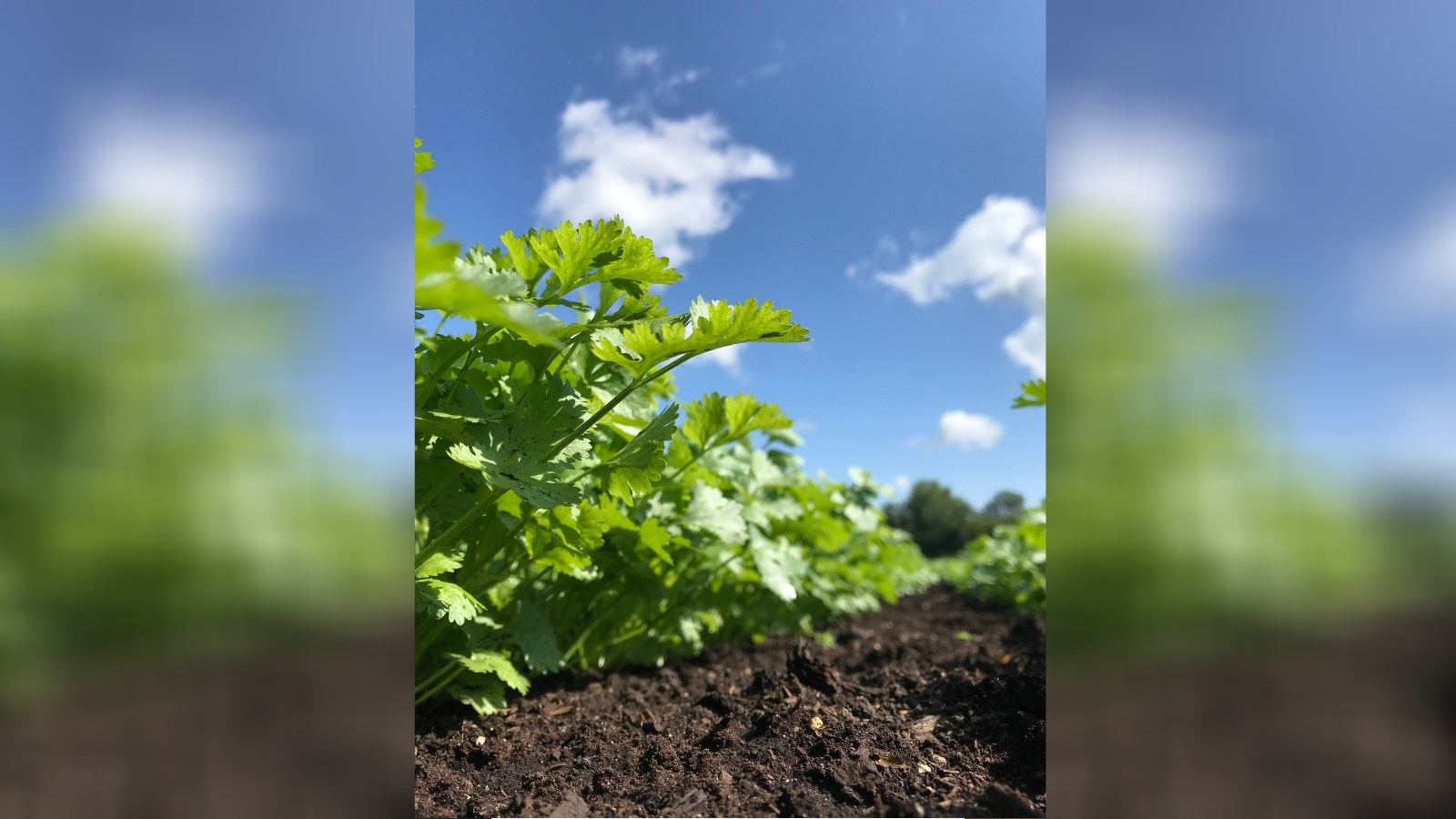 130 nouvelles fermes démarrées en Montérégie en 2018 