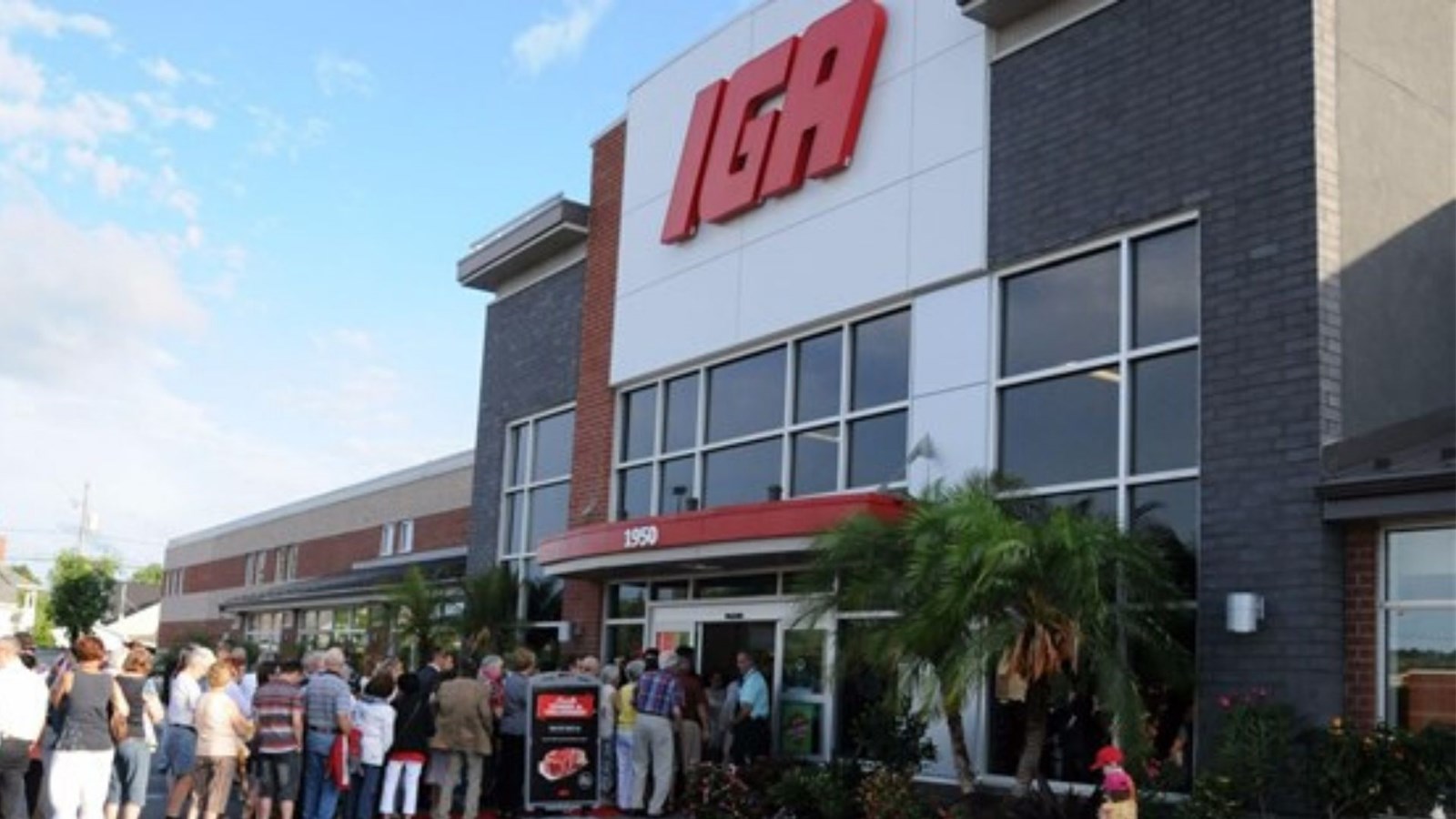 Tous les IGA du Québec n'offrent plus de sacs de plastique.