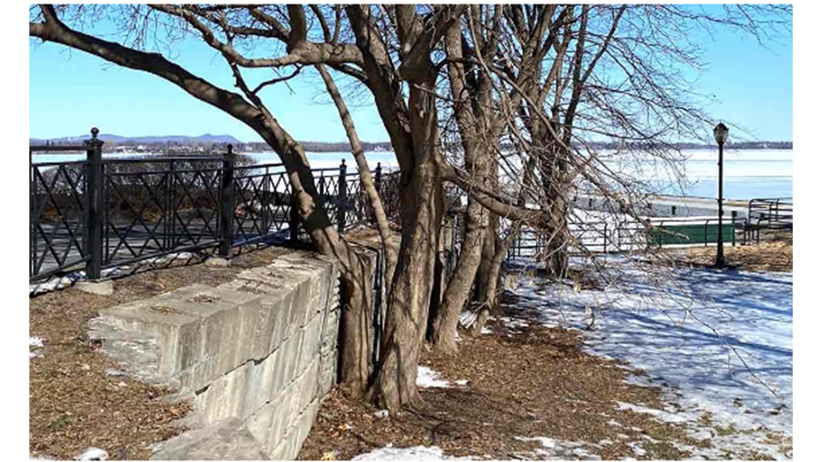 Une dizaine d'arbres abattus à la Ville de Chambly 