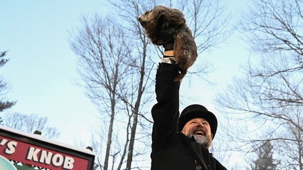 Fred, la marmotte gaspésienne, prédit un printemps hâtif
