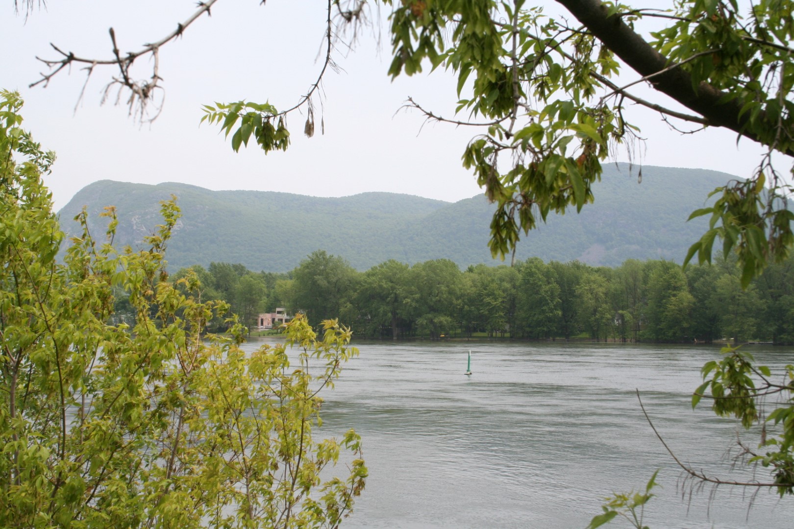 La Ville de Mont-Saint-Hilaire est sur le point d’acquérir un terrain sur la montagne de quatre hectares pour des fins de protection du milieu naturel. (Photo : Maxime Labrie)