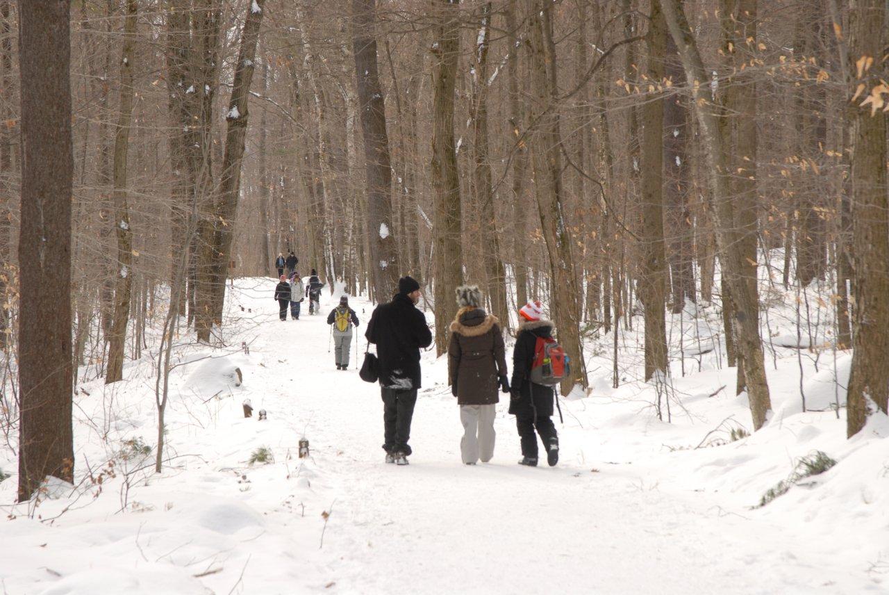 Le mont Saint-Hilaire, un endroit de choix en hiver