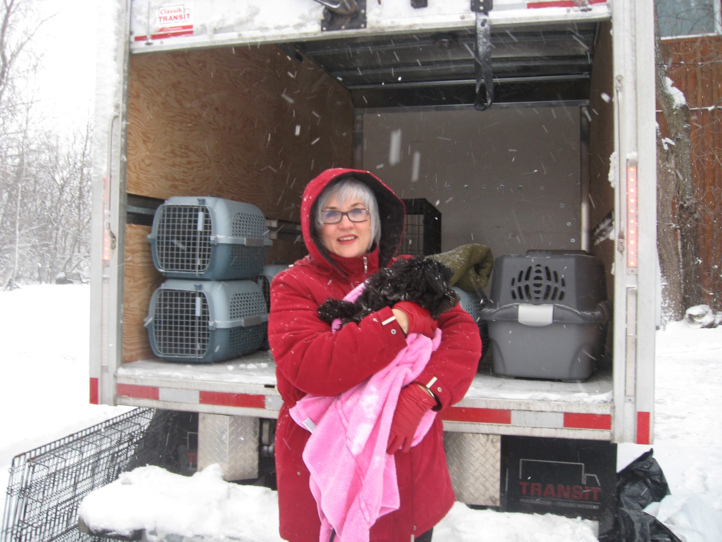 L’ex-conseillère de Mont-Saint-Hilaire Denise Loiselle a transporté en Ontario 24 chiens abandonnés et destinés à l’euthanasie dans des refuges ontariens où ils seront adoptés.