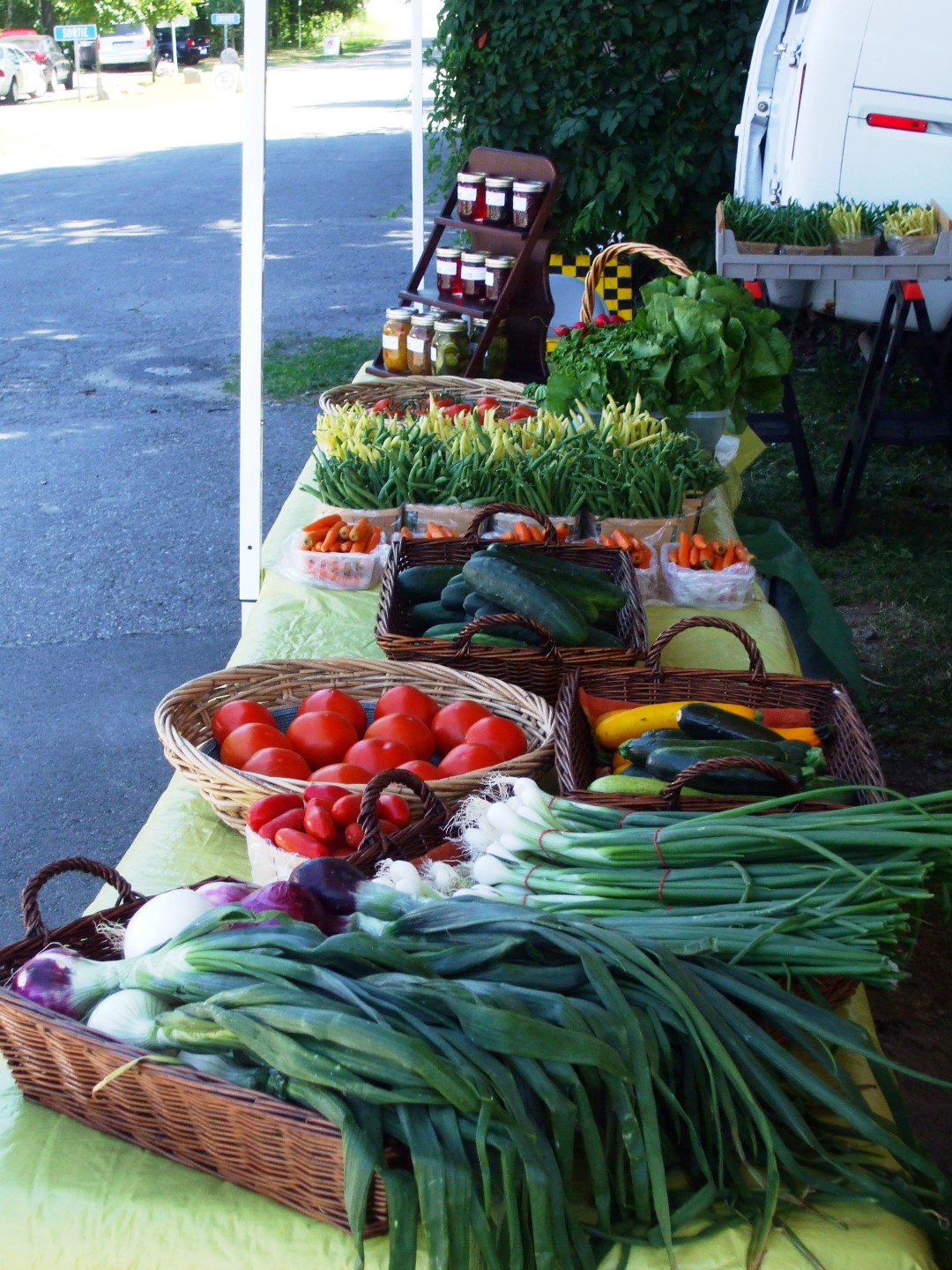 Du 17 juin au 7 octobre, le site de la Pointe-Valaine se transformera en un marché où l’art décoratif, les antiquités et les maraîchers seront à l’honneur.
