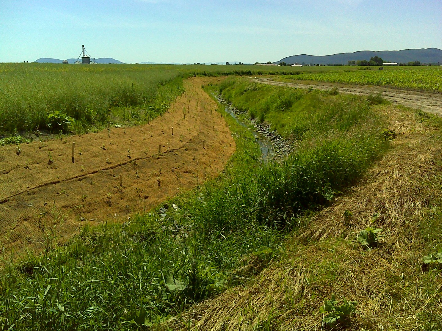 Dix kilomètres de berges seront revégétalisés le long des tributaires de la rivière des Hurons, entre Mont-Saint-Grégoire et Saint-Charles-sur-Richelieu.