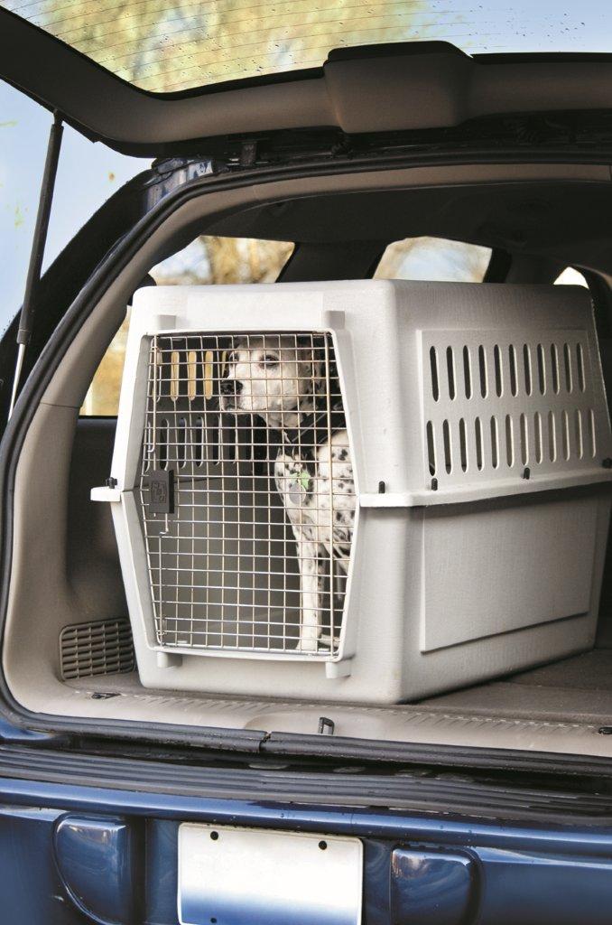 Otterburn Park a choisi de travailler avec le Centre canin international et L’Arche de Noé Récupération pour les services de gestion et de contrôle animaliers sur son territoire.