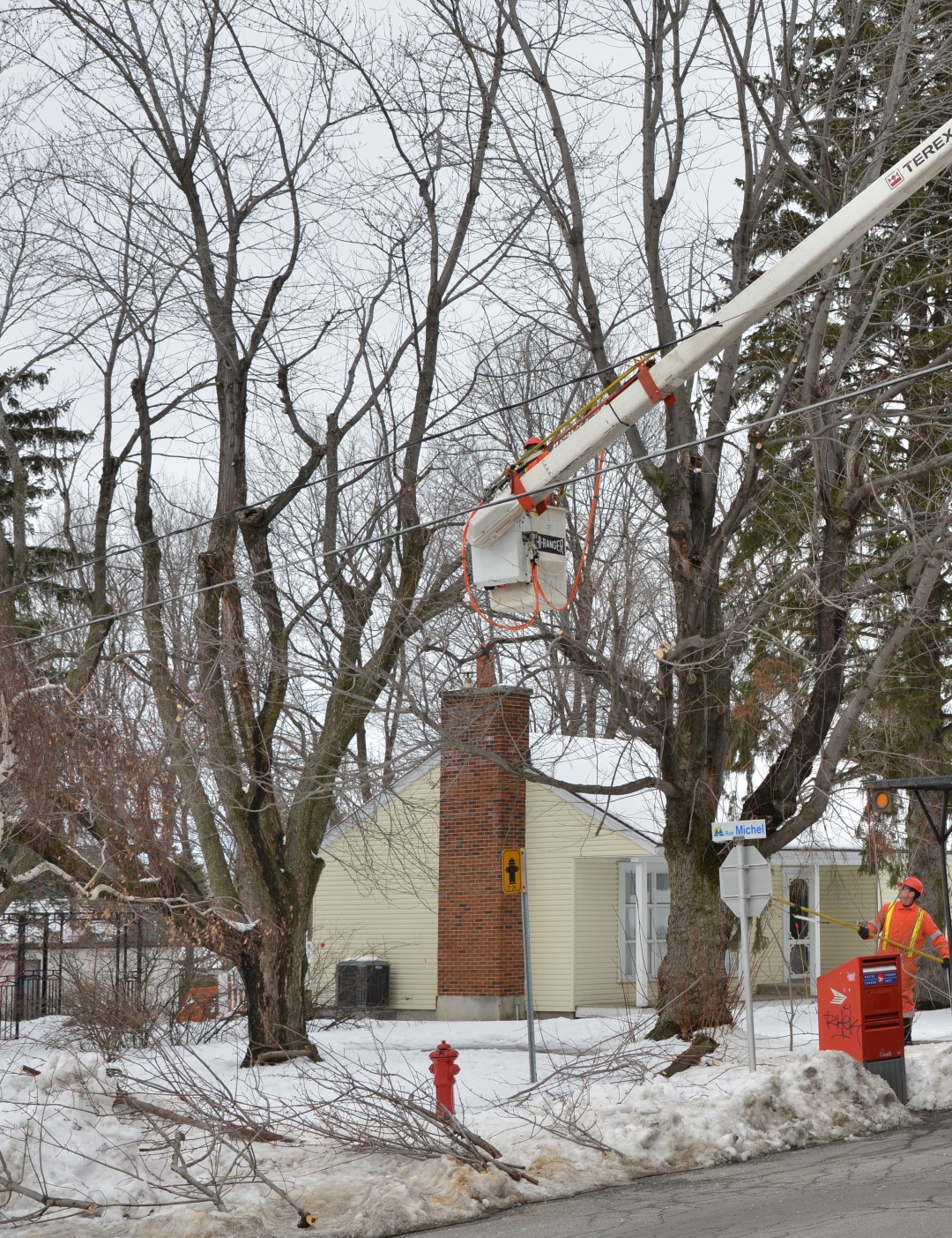 L’élagage des arbres commencera bientôt pour permettre l'installation du réseau de fibre optique dans la région.