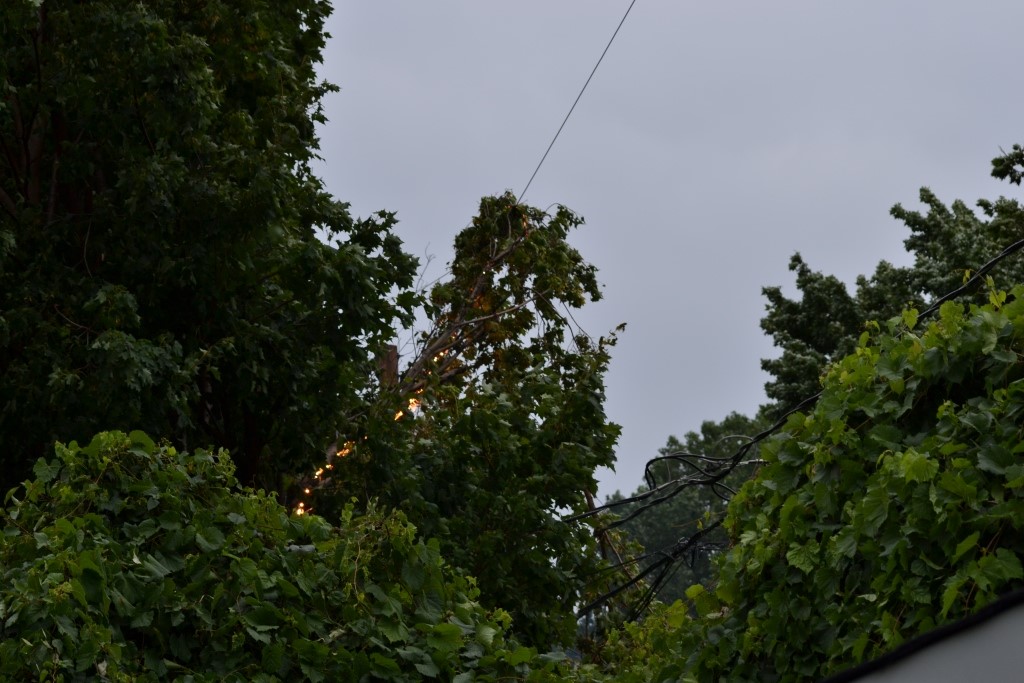 (Photo : Stéphane Gauthier)