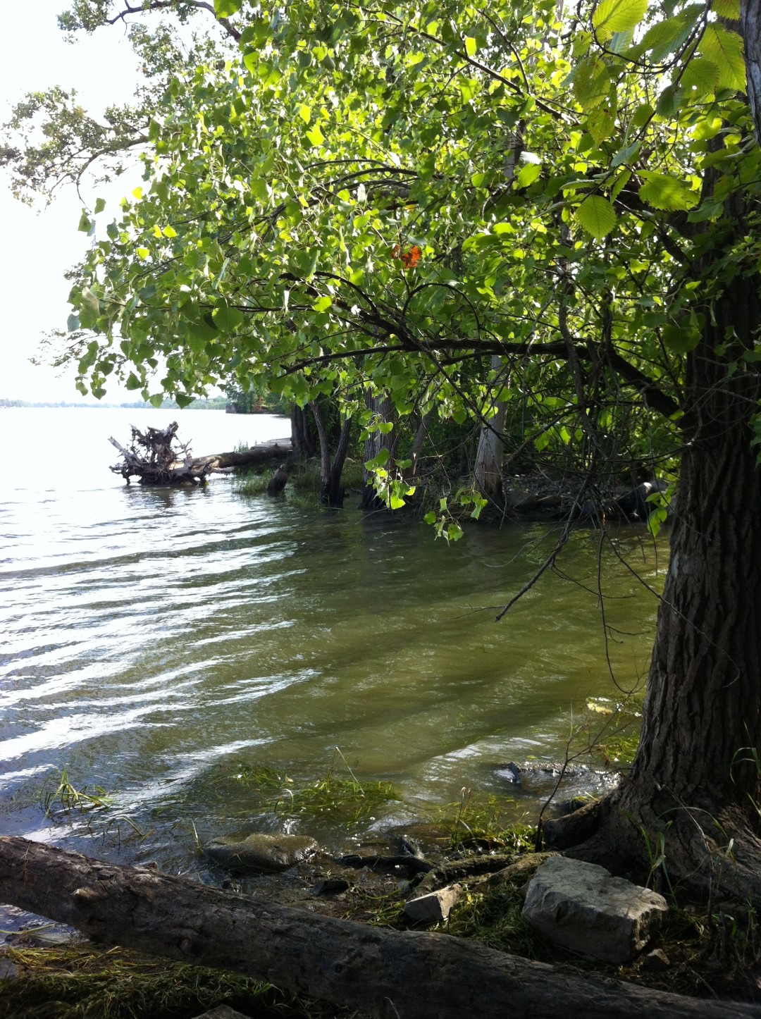 Deux aînés repêchés dans le Richelieu