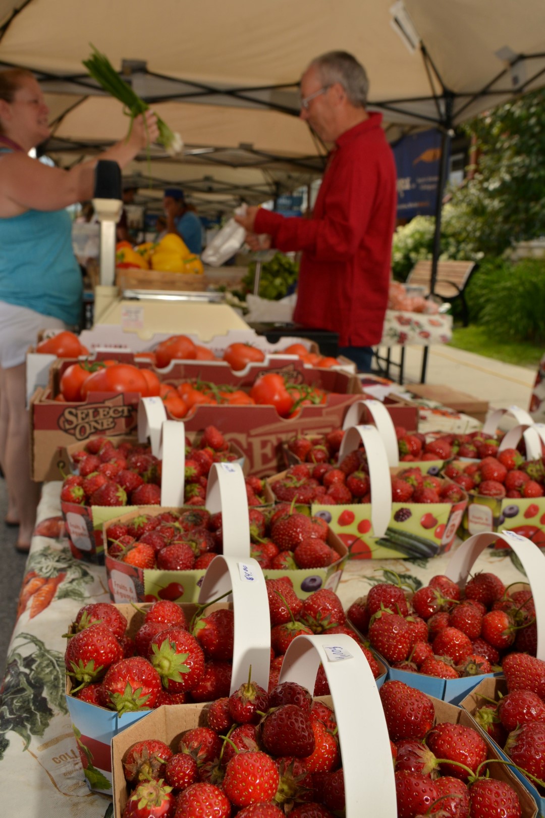 Des activités culinaires seront organisées aux marchées de Beloeil et Saint-Basile-le-Grand.