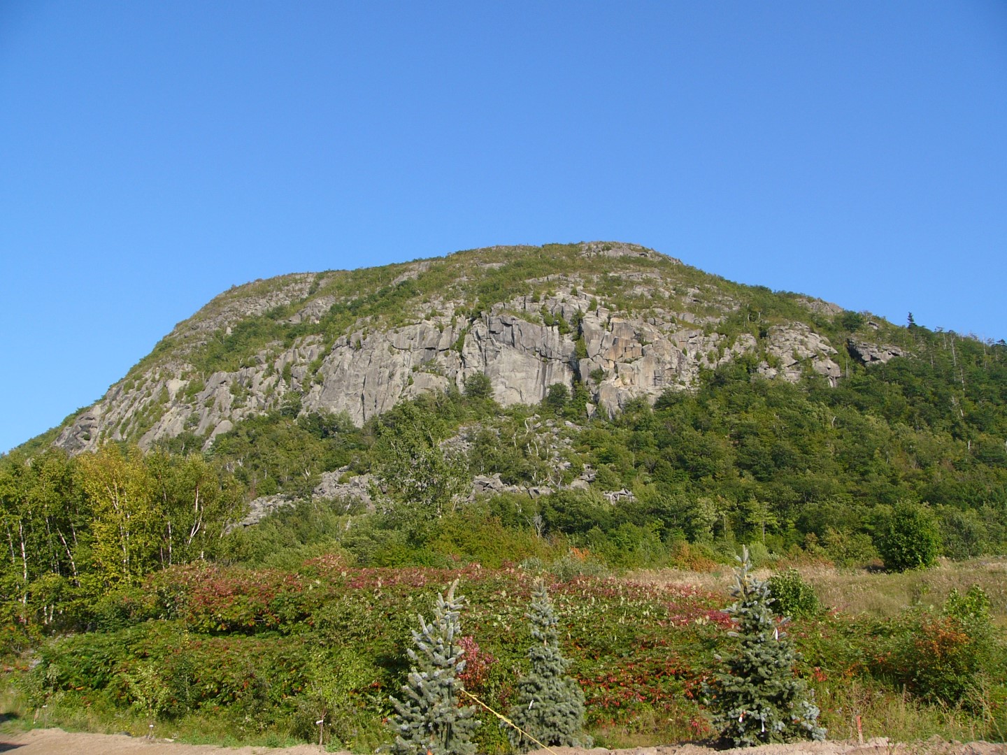 Le Prix Alice Johannsen met de l’avant des initiatives qui contribuent à préserver la Réserve de la biosphère du mont Saint-Hilaire.