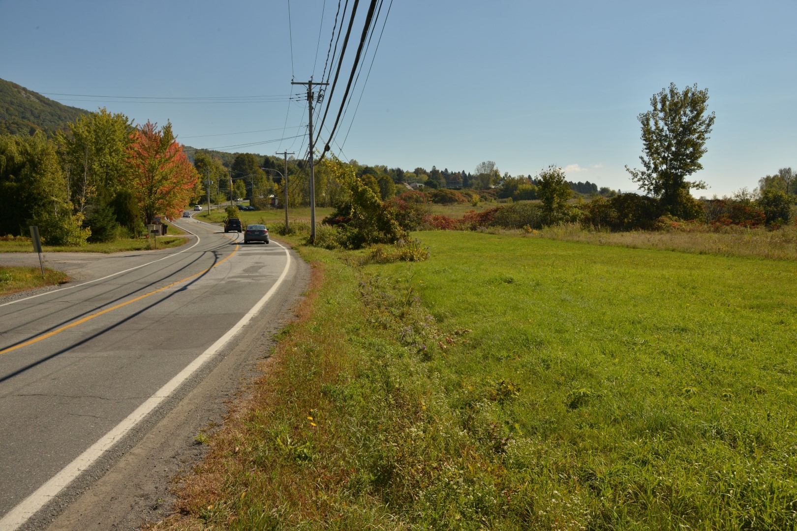 Le projet de développement résidentiel près du chemin de la Montagne, à Mont-Saint-Hilaire, permettrait de construire plusieurs habitations par hectare.