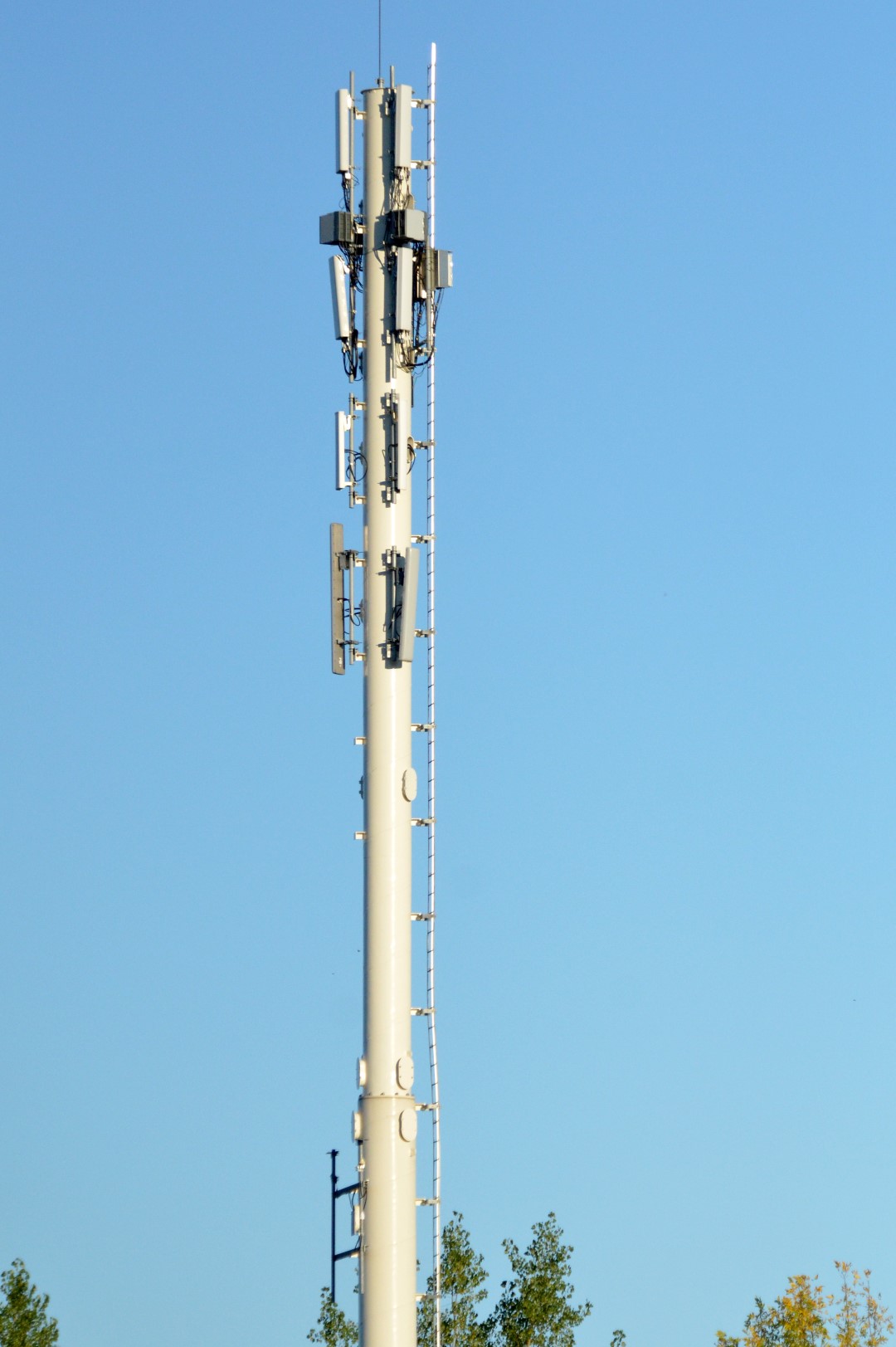 Huit endroits, en plus du 591, rue Mountainview, ont été proposés par Telus pour l’installation d’une nouvelle tour de télécommunication (photomontage). Chacun des emplacements a été refusé, indique la mairesse Danielle Lavoie.