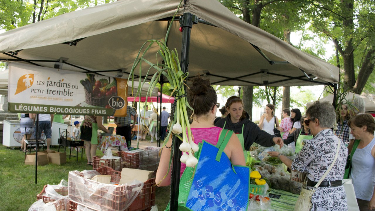 Le Marché public Dionysien de retour à Saint-Denis après une première année réussie
