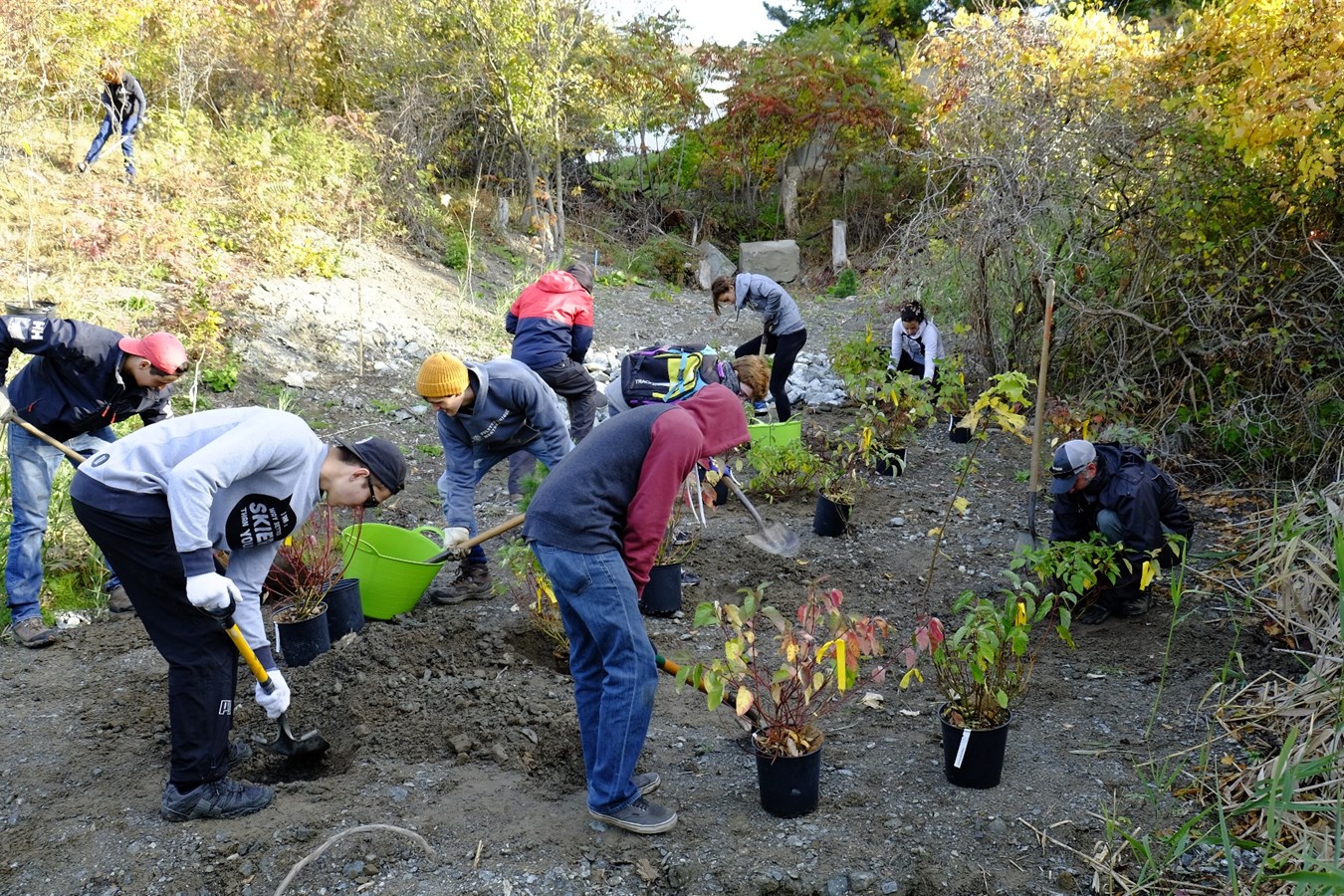 Plus d’arbres à Mont-Saint-Hilaire grâce à la participation de bénévoles