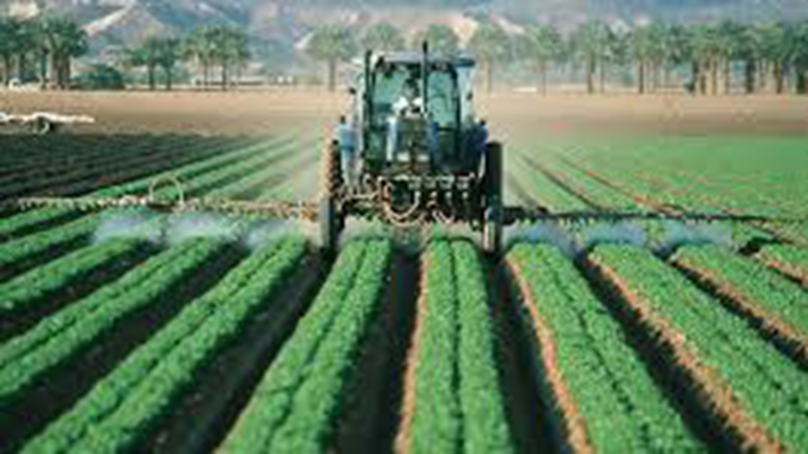 Pesticides : protégez vos cultures, protégez votre santé