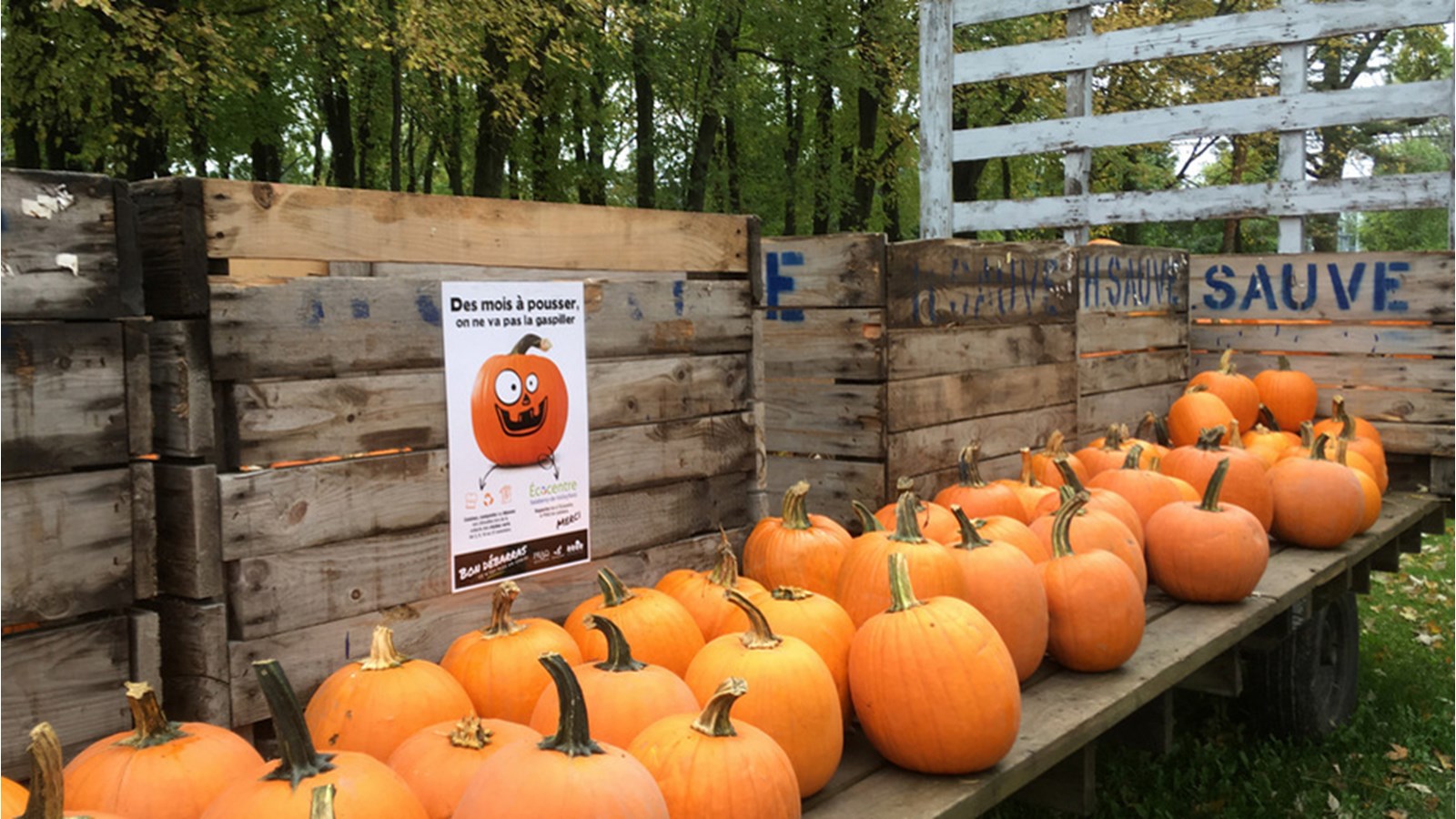 Après l'Halloween, donnez une seconde vie à vos citrouilles