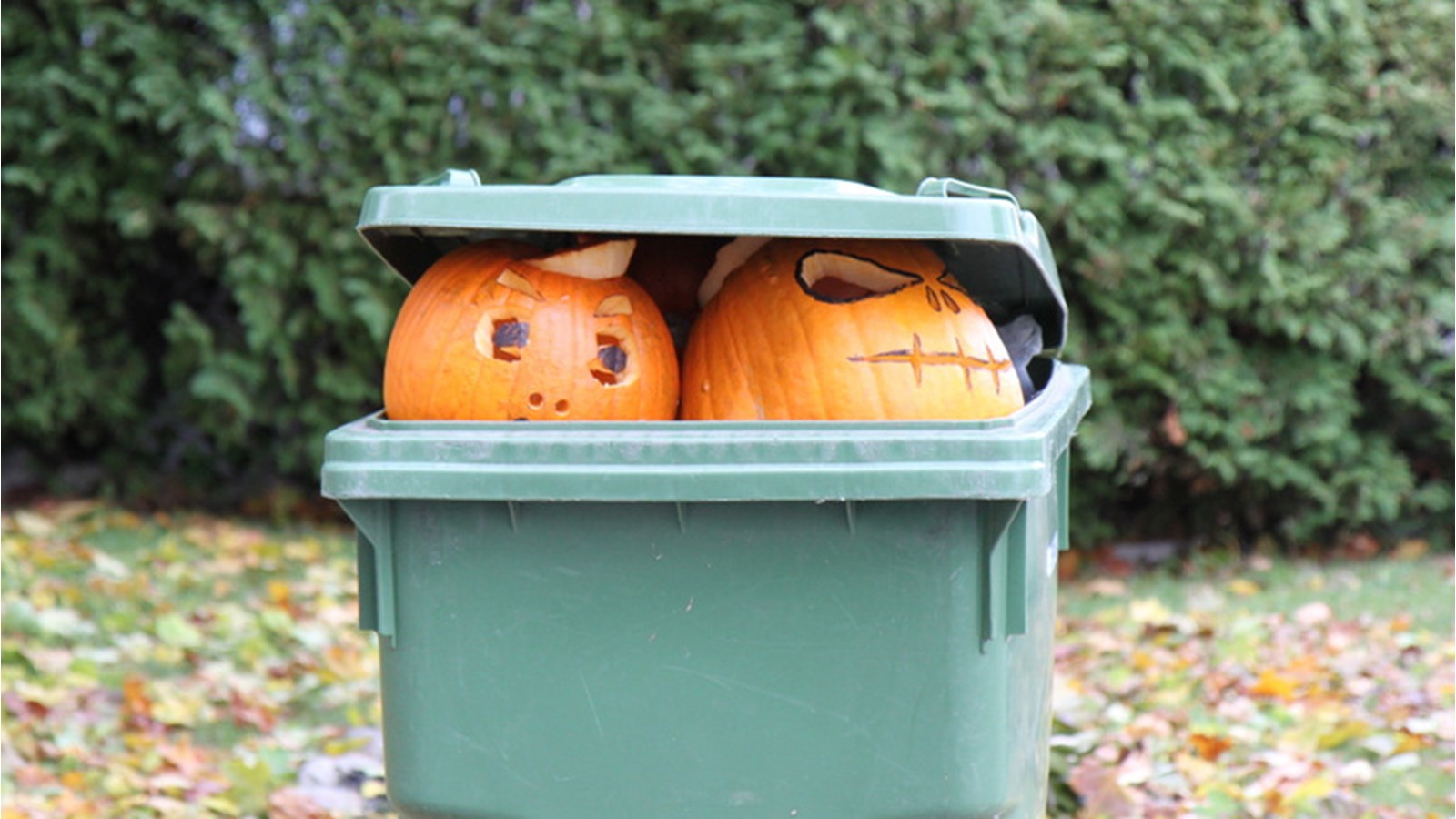 Après l'Halloween, donnez une seconde vie à vos citrouilles