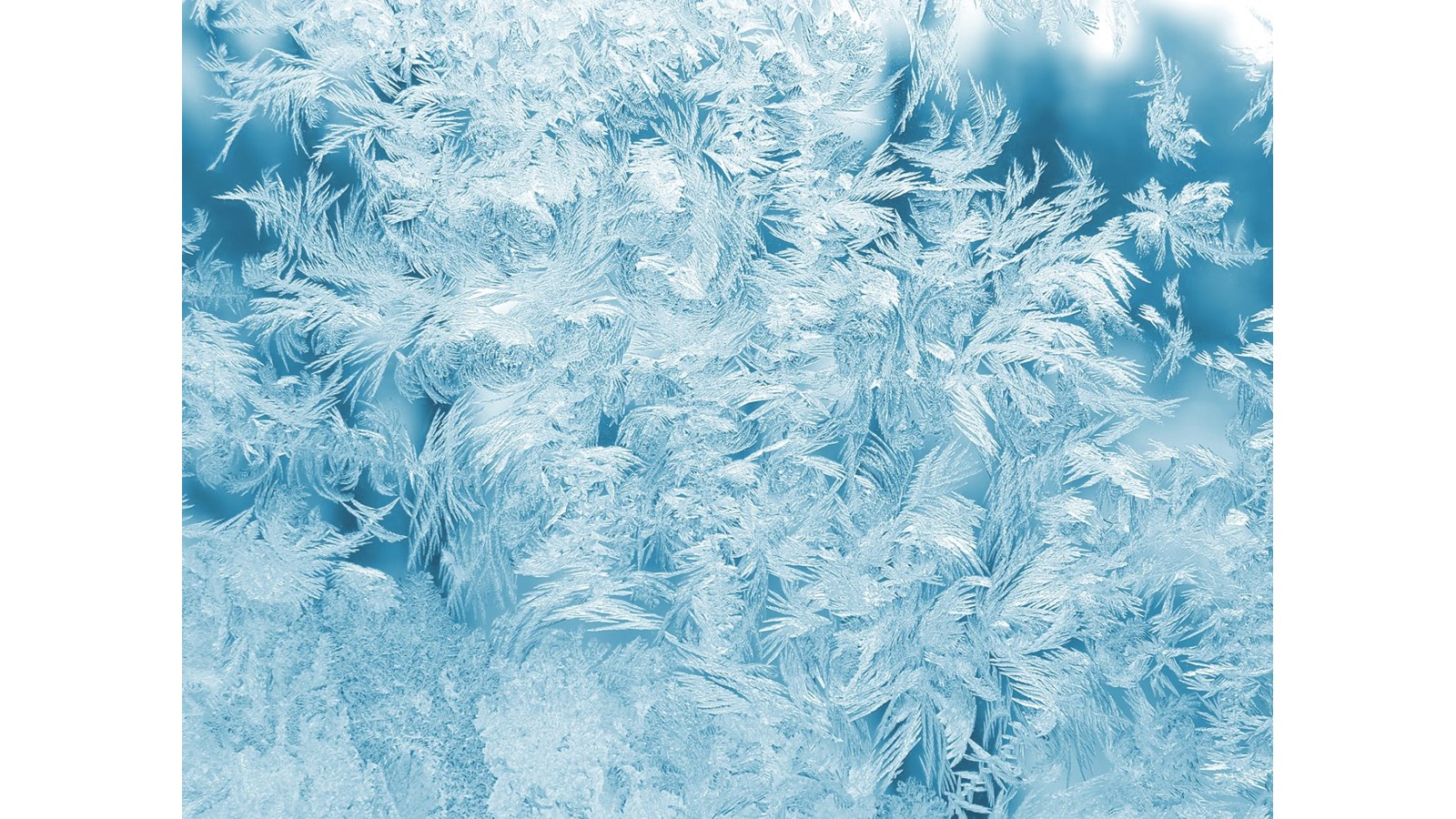 L’Aperçu de l’hiver 2019 de MétéoMédia   