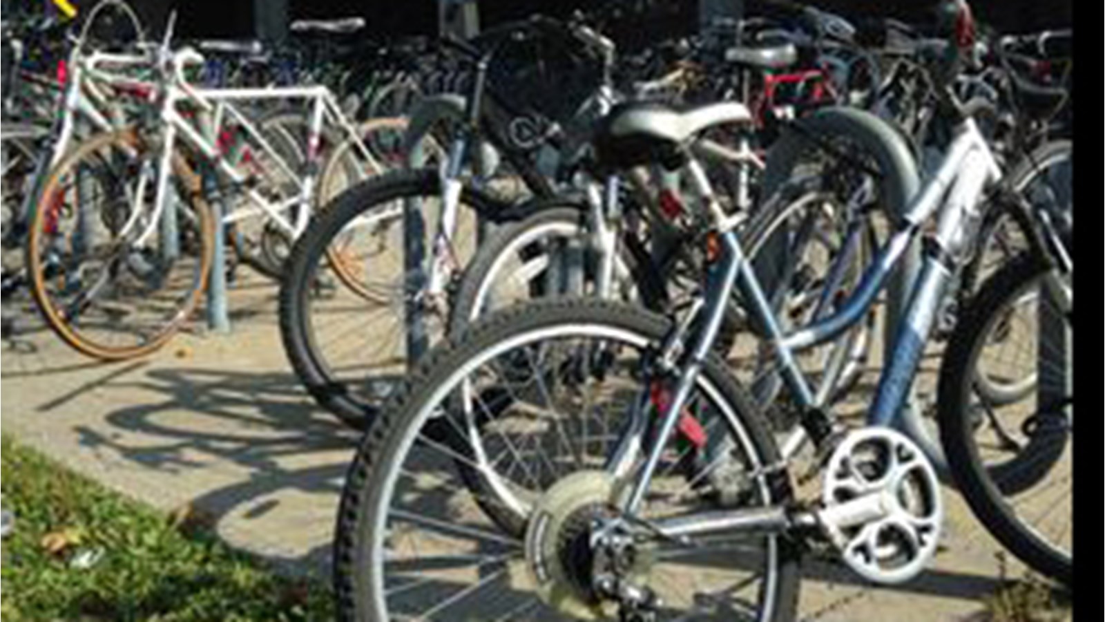 Le cégep Édouard-Montpetit maintenant certifié VÉLOSYMPATHIQUE