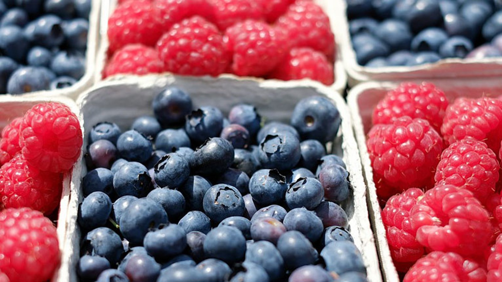 Du 8 au 18 août, on s’approprie son marché public local 